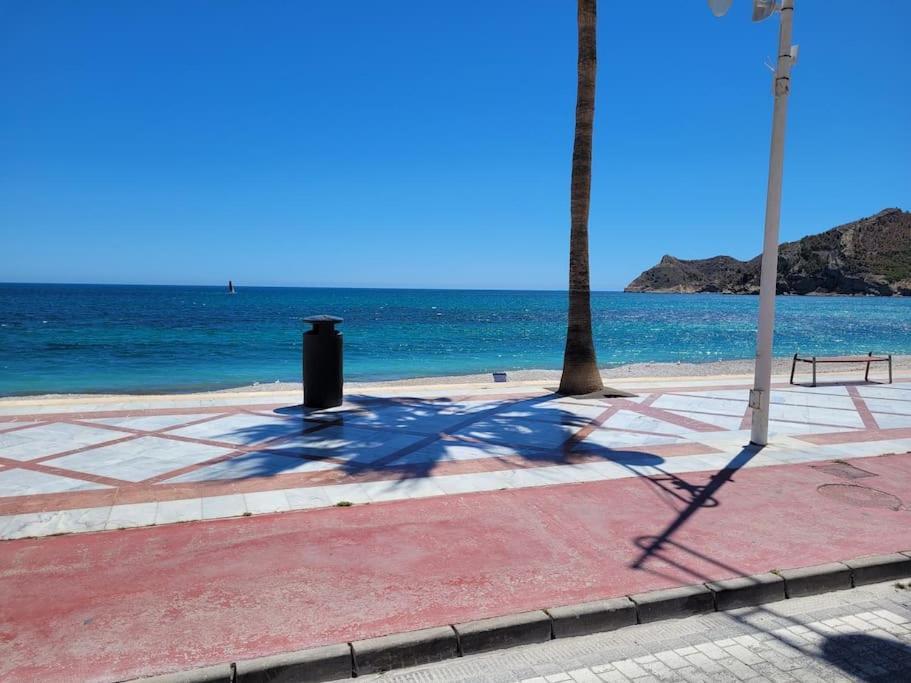 Frente Al Mar Apartment
